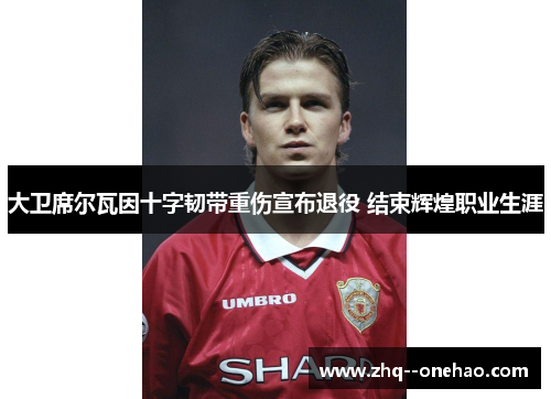 大卫席尔瓦因十字韧带重伤宣布退役 结束辉煌职业生涯