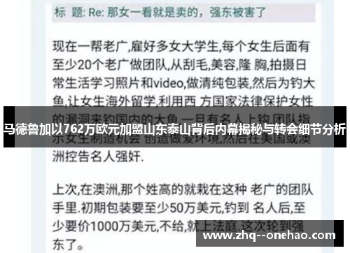 马德鲁加以762万欧元加盟山东泰山背后内幕揭秘与转会细节分析